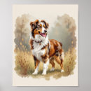 Search for australian shepherd posters Aussie