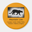 Search for cougar magnets Mountain lion