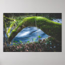 Search for enchanted forest posters River