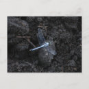 Search for dragonfly stamp postcards Black