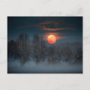Search for danita delimont postcards Evening