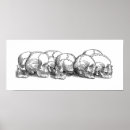 Search for vintage skull posters Death