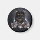 Search for meow magnets Abstract