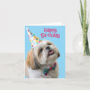 Search for shih tzu birthday cards Dog
