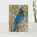 Search for gordon cards Animal