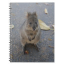 Search for australia notebooks Quokka