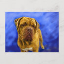 Search for french mastiff postcards Pet