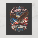Search for red white and blue flyers July 4th
