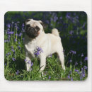 Search for bob mousepads Bluebells