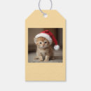 Search for christmas cat gift tags Red