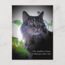 Search for i wish i was there postcards Funny