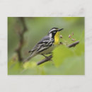 Search for males postcards North america