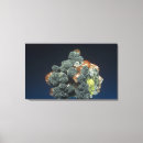 Search for natural sciences art Cutout