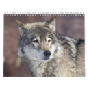 Search for wolf calendars Dog