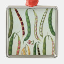 Search for 1876 christmas tree decorations French