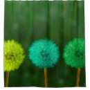 Search for dandelion shower curtains Yellow