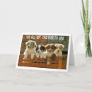 Search for home group cards Photography