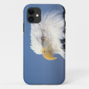 Search for bald eagle electronics Portrait