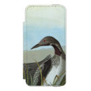 Search for beak electronics Audubon