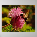 Search for bee quote posters Flower