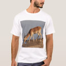 Search for impala clothing Safari