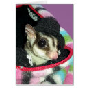 Search for flying squirrels cards Funny