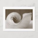 Search for beach business postcards Sea