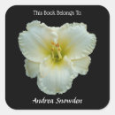 Search for big bookplates White