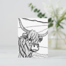 Search for highland cattle postcards Agriculture
