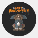 Search for pointer dog stickers Shorthaired