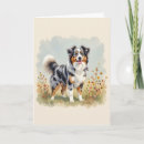 Search for aussie shepherd cards Merle