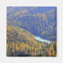 Search for yellow leafs magnets Forest