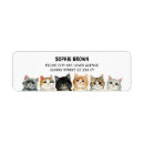 Search for art lover return address labels Kitten