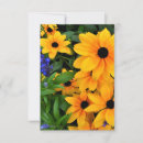 Search for daisy picture cards Photograph