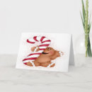 Search for candycane cards Gingerbread