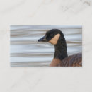 Search for goose business cards Geese