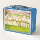 Search for rabbit lunch boxes Easter bunny