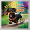 Search for womens golf posters Dachshund bumper stikers