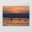 Search for romantic postcards Nature
