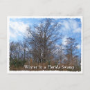 Search for natural scene postcards Nature