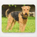 Search for waterside mousepads Pet