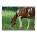 Search for sorrel Animal