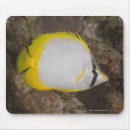Search for underwater life mousepads Animals in the wild