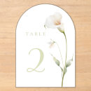 Search for calla lily invitations Watercolor
