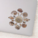 Search for beach shell stickers Beige