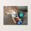 Search for shiba puzzles Puppy