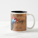Search for fowl mugs Wildlife
