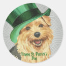 Search for norfolk stickers Dog