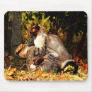 Search for cat stuff mousepads Playing