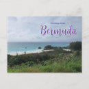 Search for bermuda postcards Pink sand